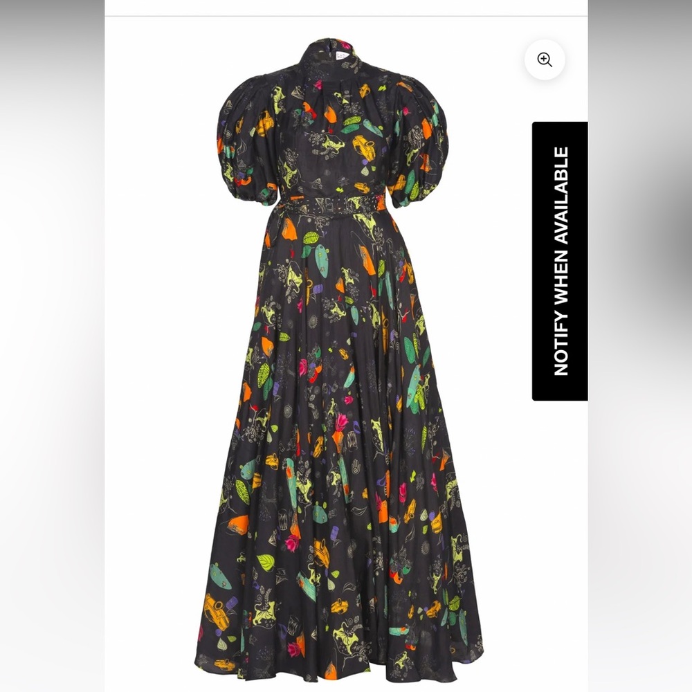 Sruti Dalmia City of joy Dress